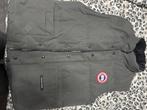 Te koop: Canada Goose Bodywarmer – Grijs, Nieuwstaat, Ophalen, Zo goed als nieuw, Grijs