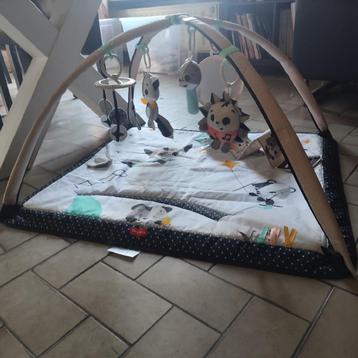 Babygym / Speelmat Tiny Love beschikbaar voor biedingen