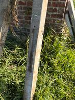 Gratis - 7 betonpalen . 2,30 m lang, Tuin en Terras, Ophalen, Gebruikt, 180 tot 250 cm, Palen