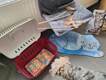 Verschillende kattenspullen., Enlèvement, Comme neuf
