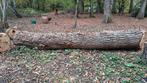 Boomstam eik., Doe-het-zelf en Bouw, Hout en Planken, Ophalen, Eiken, Overige typen, Nieuw