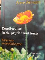 Rondleiding in de psychosynthese Pierro Ferrucci, Ophalen of Verzenden, Zo goed als nieuw