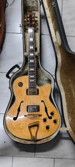 Guitare électro acoustique ( hollow body ) STOL, Musique & Instruments, Enlèvement