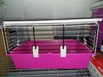 Cage lapin nain, Animaux & Accessoires, Enlèvement, Cage, Lapin