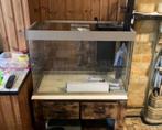 Aquarium Ciano, Dieren en Toebehoren, Vissen | Aquaria en Toebehoren, Ophalen, Nieuw, Leeg aquarium