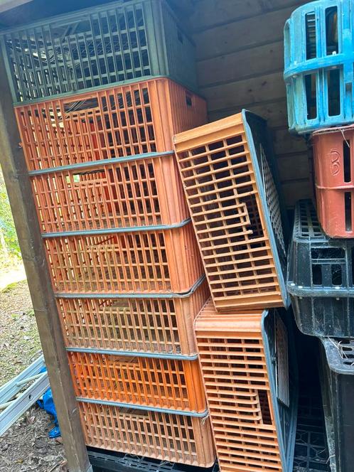Pluimvee vervoer bak/korf, Dieren en Toebehoren, Pluimvee | Toebehoren, Gebruikt, Overige typen, Ophalen