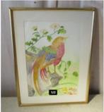 Mooi geschilderd Aquarel 'Kleurrijke Vogel' - Pel 88, Antiek en Kunst, Ophalen of Verzenden