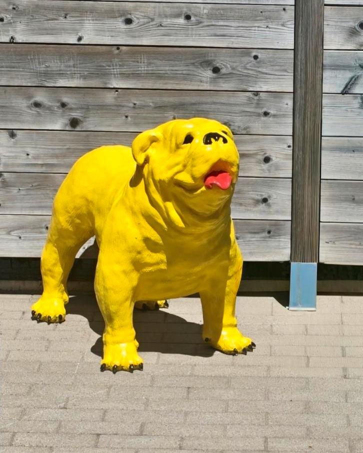 Engelse bulldog, Tuin en Terras, Tuinbeelden, Gebruikt, Dierenbeeld, Ophalen