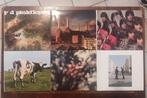 Pink Floyd Cds 9 Stuks, Enlèvement, Comme neuf