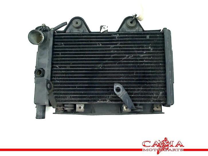 RADIATEUR Triumph Trophy 900 1996-2003 (01-1996/12-2003), Motoren, Onderdelen | Overige, Gebruikt