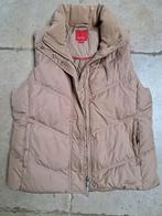 Bodywarmer, Vêtements | Femmes, Blousons sans Manches, Enlèvement ou Envoi, Comme neuf, Taille 38/40 (M)