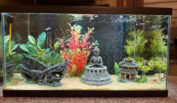 Mooi aquarium met alle toebehoren ook vissen !, Antiek en Kunst, Kunst | Schilderijen | Abstract, Ophalen