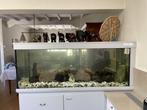 Aquarium, Ophalen, Zo goed als nieuw