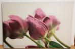 Jolie toile déco (fleurs) 92 cm x 61 cm, Gebruikt, Ophalen