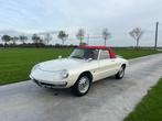Alfa Romeo Duetto 1967, Autos, Entreprise, Cabriolet, Boîte manuelle, Alfa Romeo