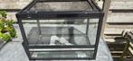 Terrarium, Dieren en Toebehoren, Ophalen, Gebruikt