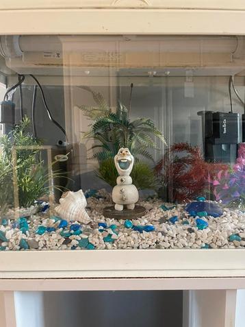 SUPERBE AQUARIUM COMPLET beschikbaar voor biedingen