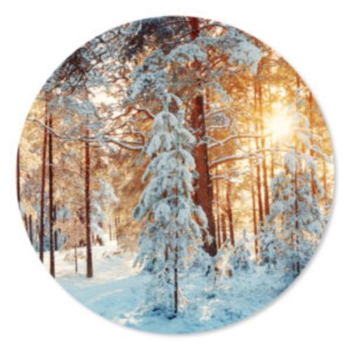 Muurcirkel Winterbos, Huis en Inrichting, Woonaccessoires | Wanddecoraties, Nieuw, Ophalen of Verzenden