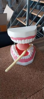 Dentier geant avec brossé à dent, Enlèvement ou Envoi, Neuf