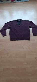 Paarse zachte comfortabele trui met v hals L/XL, Ophalen of Verzenden, Zo goed als nieuw, Maat 52/54 (L)