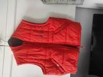 Blouson Mexx sans manche orange doux , taille l, Vêtements | Femmes, Blousons sans Manches, Enlèvement, Comme neuf, Orange