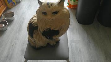 2mooie katten beelden beschikbaar voor biedingen