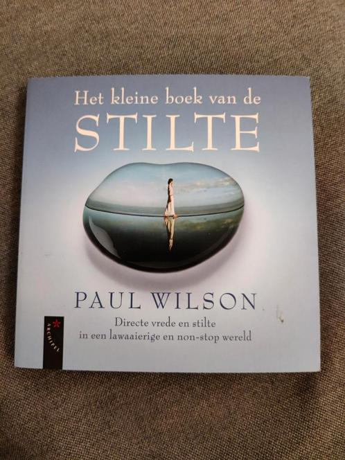 P. Wilson - Het kleine boek van de stilte, Boeken, Psychologie, Zo goed als nieuw, Ophalen of Verzenden