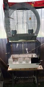 vogelkooien, Dieren en Toebehoren, Ophalen, Gebruikt, Metaal, Vogelkooi