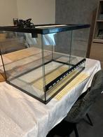 terrarium 60x40x40, Dieren en Toebehoren, Reptielen en Amfibieën | Toebehoren, Ophalen, Zo goed als nieuw