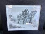 Pen tekening koppel paarden, Antiek en Kunst, Kunst | Tekeningen en Fotografie, Ophalen
