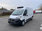 Fiat Ducato L2H2 KOELWAGEN (bj 2023), Auto's, Bestelwagens en Lichte vracht, 4 deurs, Euro 6, 4 cilinders, Wit