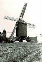 Anzegem - Landergemmolen, Envoi, 1980 à nos jours, Non affranchie, Flandre Occidentale