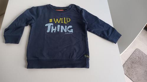 sweater - Maat 86, Kinderen en Baby's, Babykleding | Maat 86, Zo goed als nieuw, Jongetje of Meisje, Truitje of Vestje, Ophalen of Verzenden