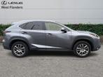 Lexus NX 300H EXECUTIVE LINE+AFN. TREKHAAK+c, Autos, Argent ou Gris, Euro 6, 197 ch, Brun