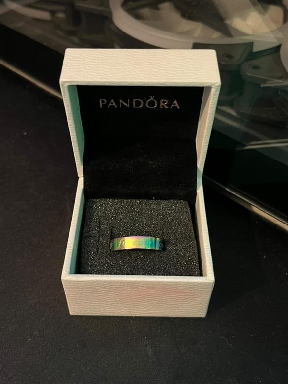 Bagues en Acier Inoxydable (N14), Handtassen en Accessoires, Ringen, Zo goed als nieuw, Ophalen of Verzenden