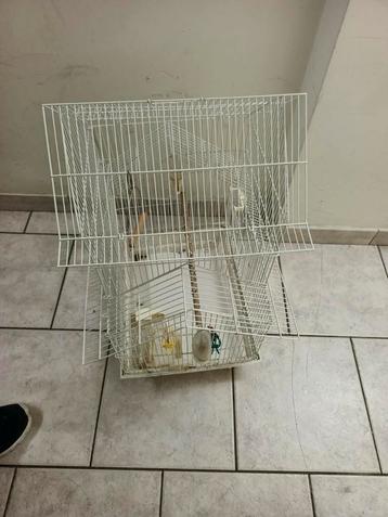 Cage à oiseaux – bon état beschikbaar voor biedingen
