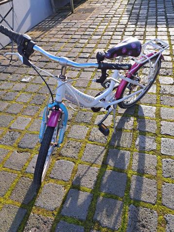 Vrolijke meisjesfiets van Prestige - 20 inch beschikbaar voor biedingen