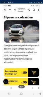 Kadobon slipcursus twv 99 eur! Doe een bod.