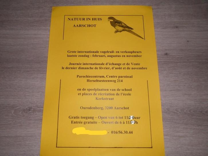 Parkieten . Vogelbeurs Aarschot 30-11-2025, Dieren en Toebehoren, Vogels | Parkieten en Papegaaien, Parkiet, Meerdere dieren, Geringd