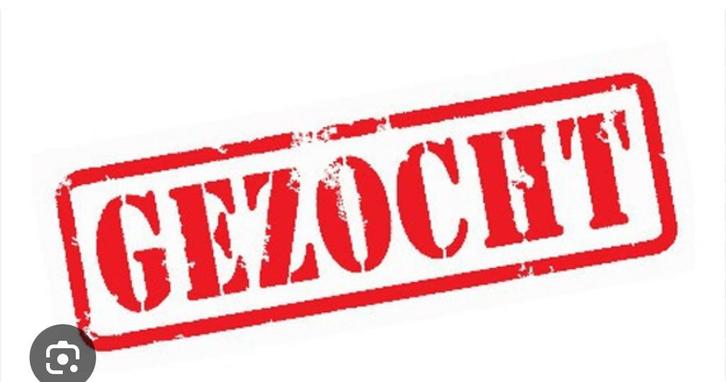 Gezocht : valk/ buckskin merrie, Dieren en Toebehoren, Paarden, Merrie