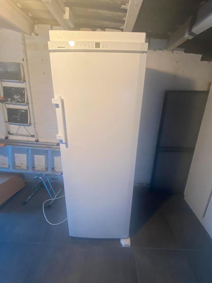 Liebherr diepvrieskast, Elektronische apparatuur, Vriezers en Diepvrieskisten, Zo goed als nieuw, Vrijstaand, Vrieskast, 160 cm of meer