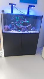 Zee Aquarium Red Sea Reefer 425XL incl toebehoren, Dieren en Toebehoren, Vissen | Aquaria en Toebehoren, Ophalen, Gevuld zeewateraquarium