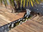 Hardhouten pkanken, Tuin en Terras, Palen, Balken en Planken, Ophalen, Hardhout