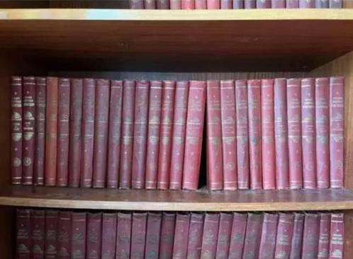 Russisch boek, Boeken, Woordenboeken, Gelezen, Russisch, Overige uitgevers, Ophalen of Verzenden