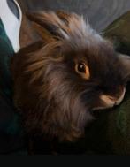 Schattig lief konijtje, Dieren en Toebehoren, Mannelijk