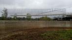 Stapmolen, Dieren en Toebehoren, Stalling en Weidegang, 4 paarden of pony's of meer