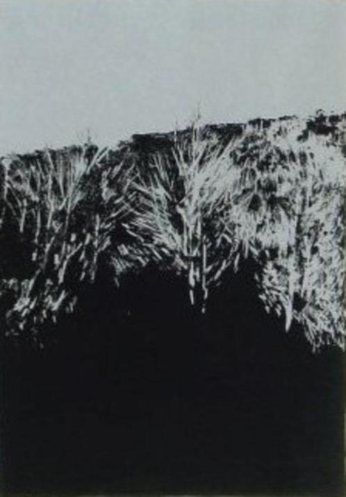 Rob Bruyninckx "Bomen" - zeefdruk met beperkte oplage, Antiquités & Art, Art | Lithographies & Sérigraphies, Envoi