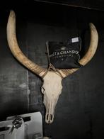 Gewei Oeros Groot 150cm hoog, Huis en Inrichting, Ophalen, Zo goed als nieuw