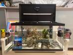 Aquarium met toebehoren, Ophalen, Gebruikt, Overige typen