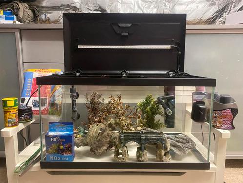 Aquarium met toebehoren, Dieren en Toebehoren, Vissen | Aquaria en Toebehoren, Gebruikt, Overige typen, Ophalen